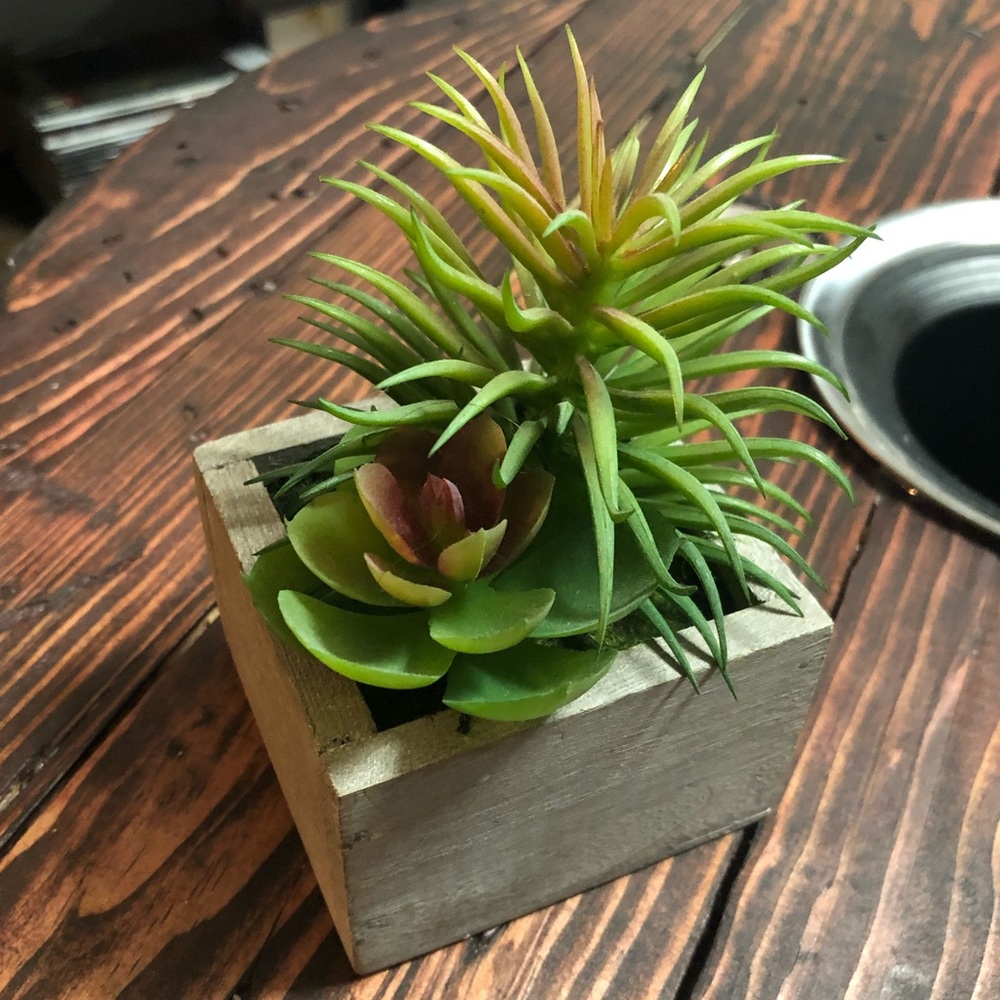 Decorative Wood Box Fake Succulent Plant #2 🌱